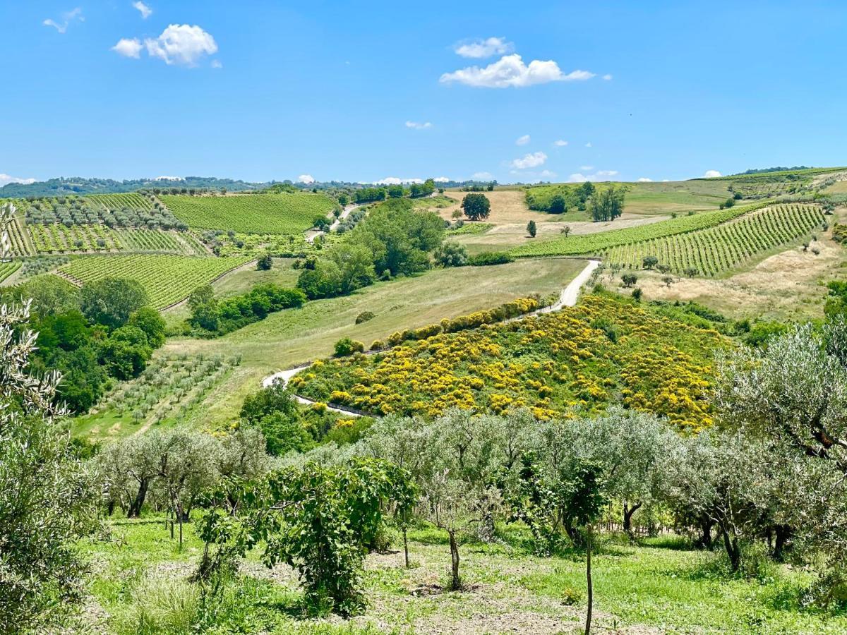 Agriturismo Le Masciare Paternopoli Exteriör bild